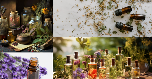 Aromaterapia: Guida Completa ai Benefici e agli Utilizzi | MoZen Wellness
