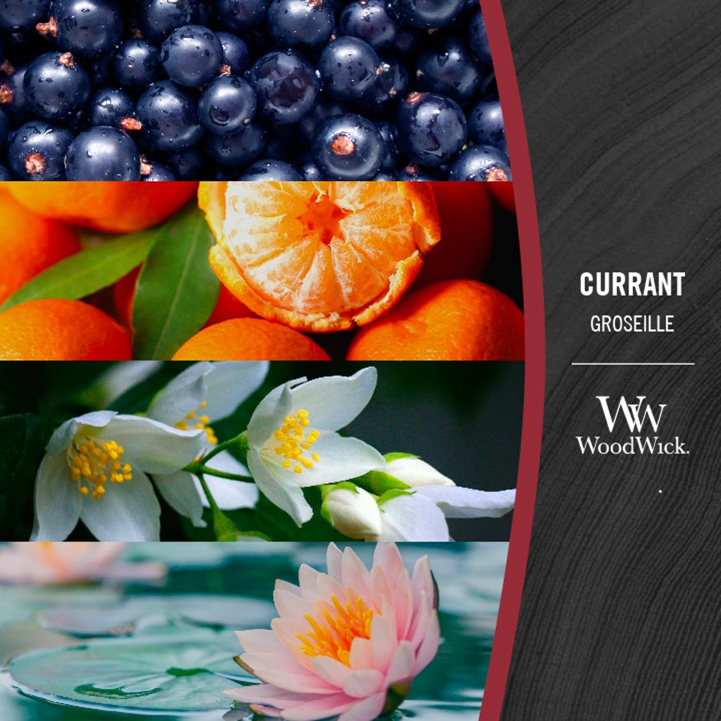 Woodwick Candela a Clessidra Di Ribes Quotidiana Cera Di Paraffina Cera Di So